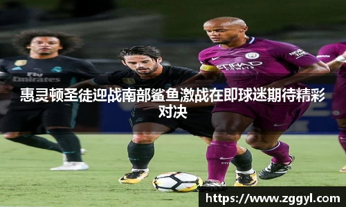 惠灵顿圣徒迎战南部鲨鱼激战在即球迷期待精彩对决